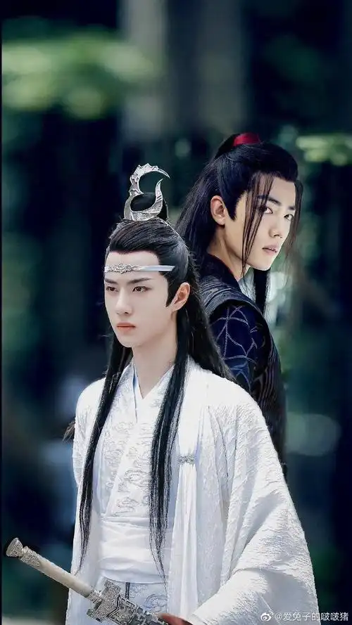 肖战王一博陈情令