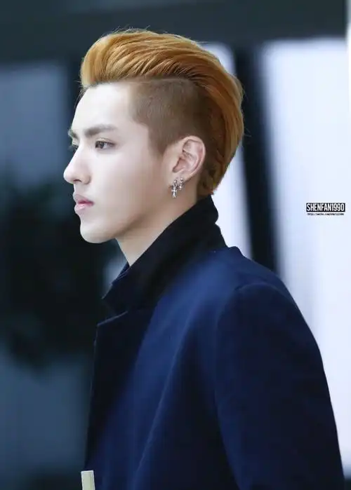 exo kris 吴亦凡