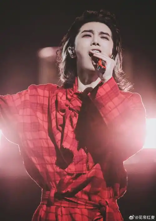 华晨宇##2024华晨宇火星演唱会