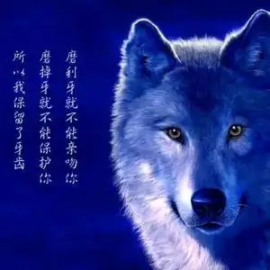 学狼一样忍着,最后被狠恨,头像