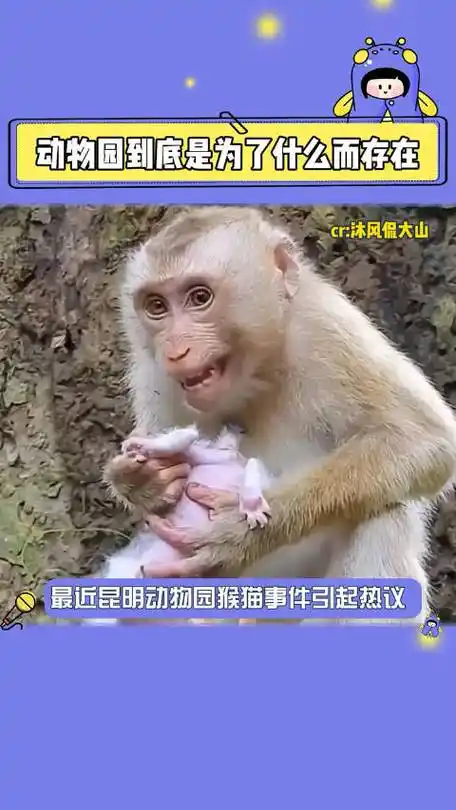 昆明动物园通报猴猫共处