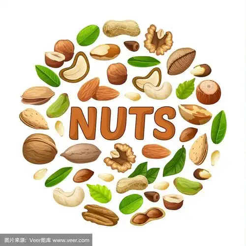 卡通坚果圆概念