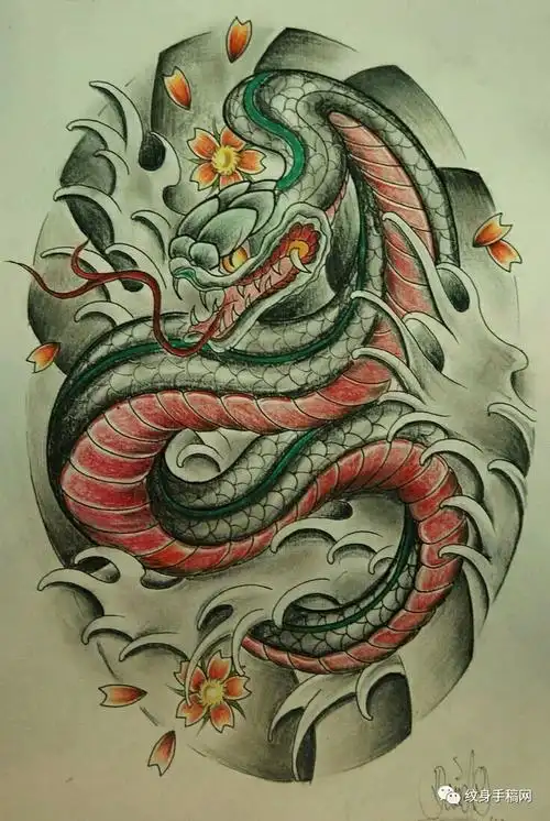 蛇手稿纹身大集合150张1