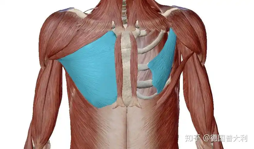 上交叉综合症如何矫正?