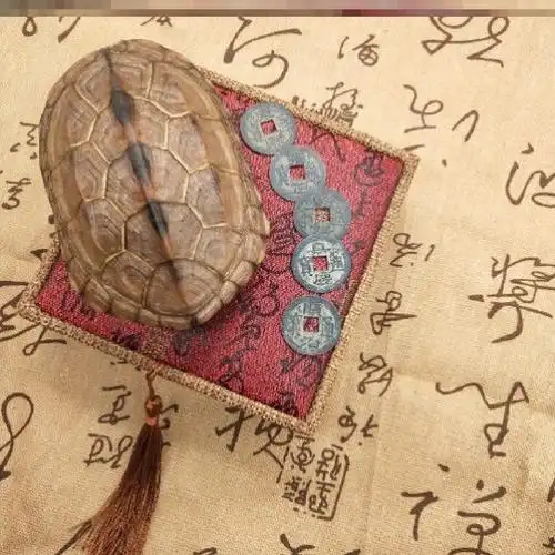 龟壳摇卦六十四卦龟甲文玩把件乌龟壳六摇卦铜钱用具工具摆件卦具