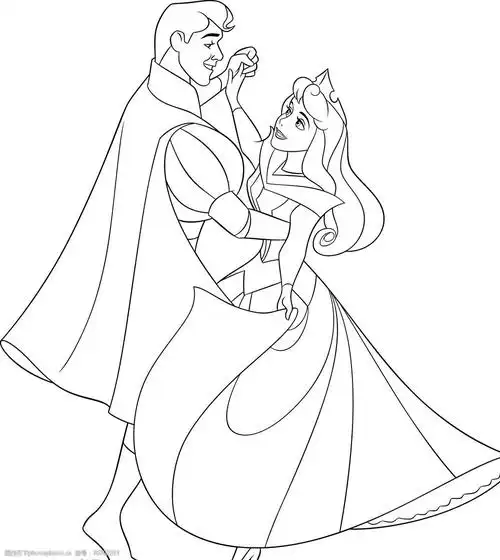 迪士尼公主与王子图片