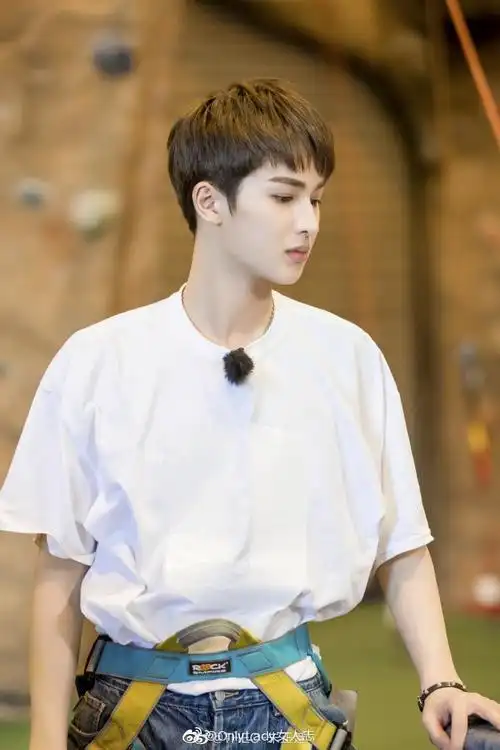 解析明星##青春的花路##朱正廷青春的花路