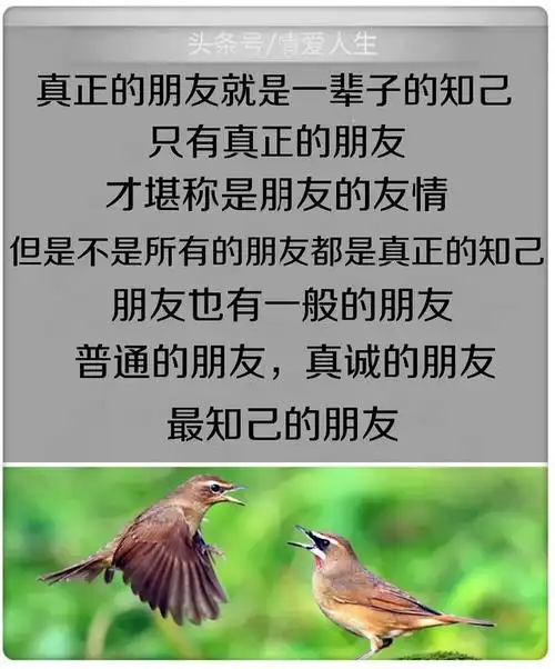 真正的朋友是一辈子的知己.