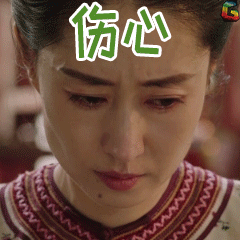 演员的诞生刘敏涛伤心soogifsoogif出品gif动图_动态图_表情包下载