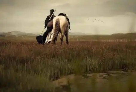 一人一马仗剑天涯图片,一个人仗剑天涯的图片