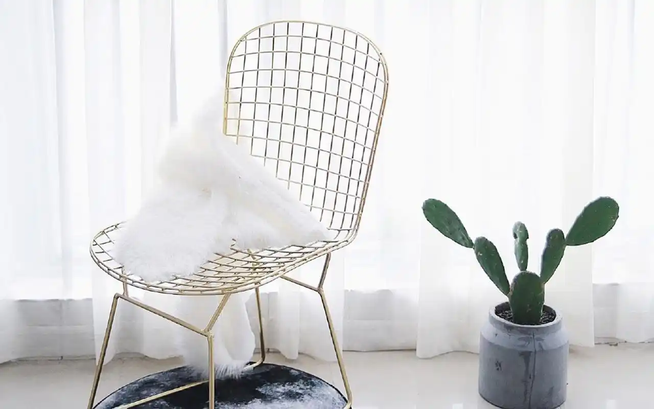 小清新治愈系静物图片桌面壁纸