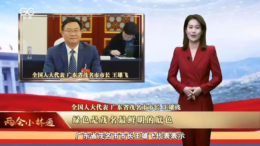 王雄飞代表:绿色是茂名最鲜明的底色