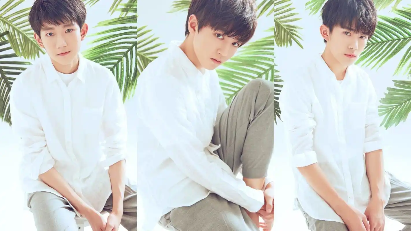 首页 桌面壁纸 大陆明星 tfboys白衬衫唯美写真win7高清壁纸上一张 下