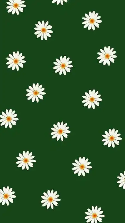 苹果聊天墨绿色背景 - 堆糖,美图壁纸兴趣社区