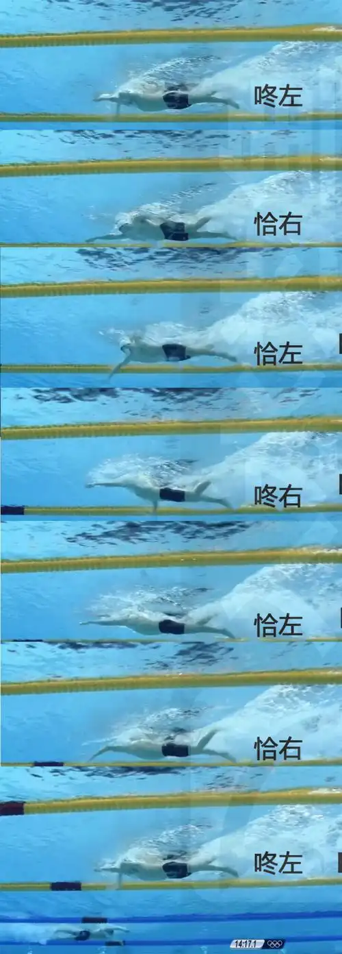 一张图看懂自由泳手脚配合时机【入水为鱼】