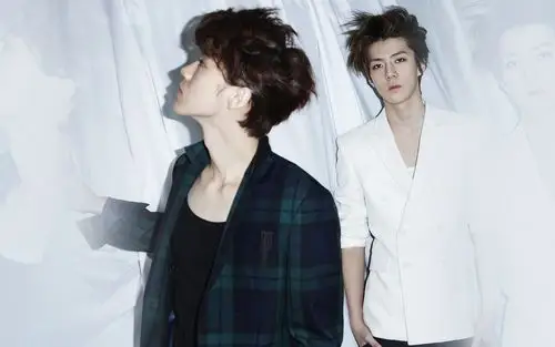 exo帅哥明星高清写真图片合集电脑桌面壁纸下载第一辑