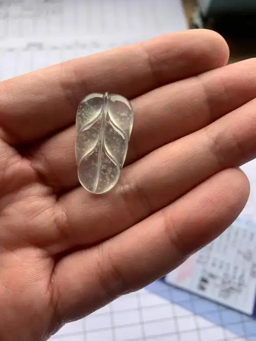 玻璃种木那雪花棉叶子