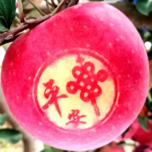 团团圆圆,平平安安