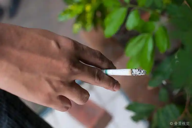 香烟_特写_手_吸烟_高清图片_全景视觉