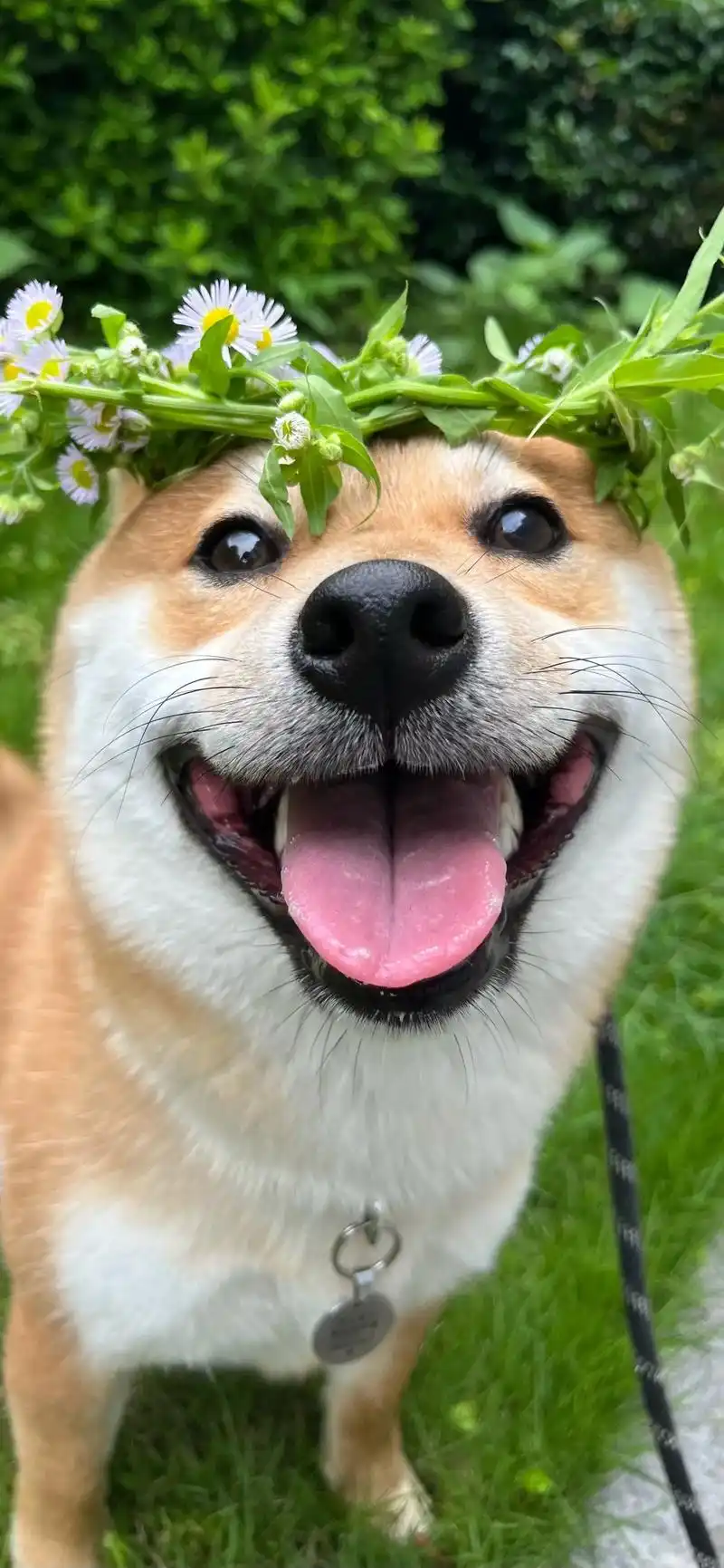 1440_3115竖版 竖屏