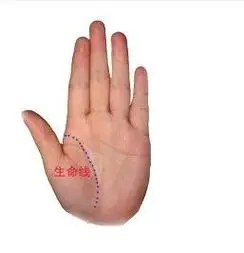 宝宝的手掌纹生命线短(小宝宝双手手纹生命线短)