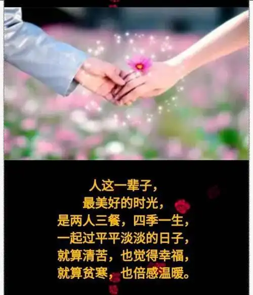 一心一人一辈子