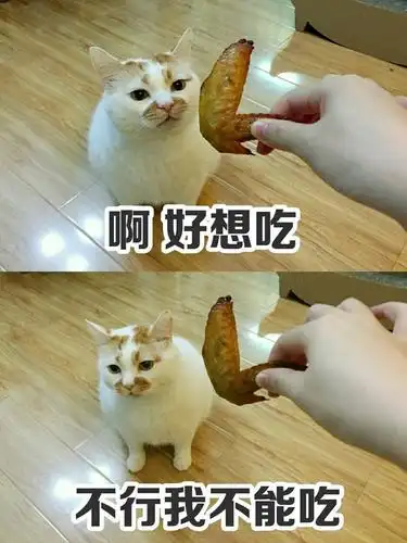 别问我为什么最想撸楼板娘,帧帧表情包,怕是成精了