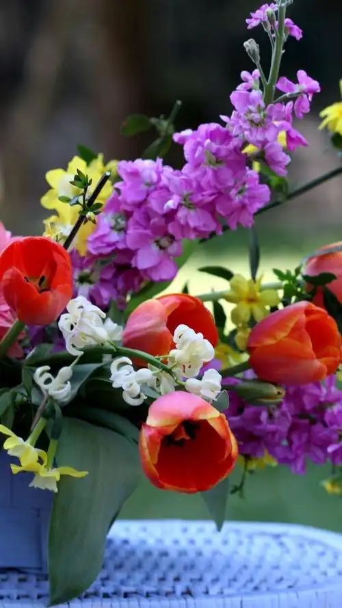 鲜花,非洲菊,粉色的花,郁金香,篮子 iphone 壁纸