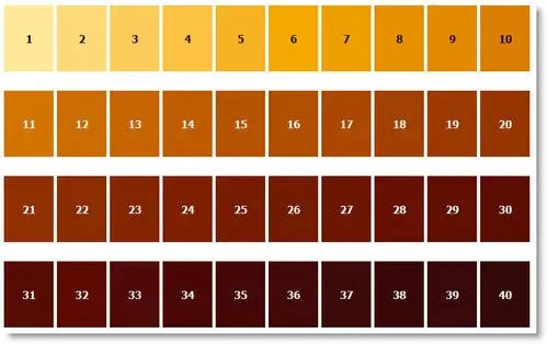 an example of an srm beer color chart from the vinter’s