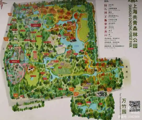 沪上随拍之共青森林公园