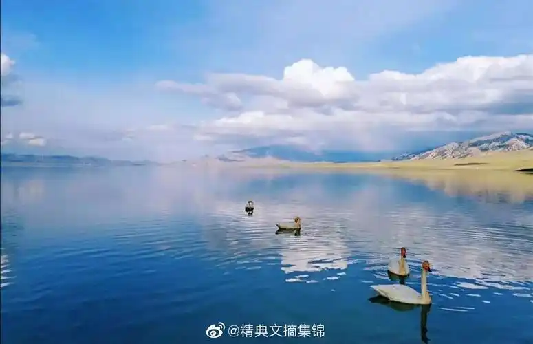 断舍离深度好文