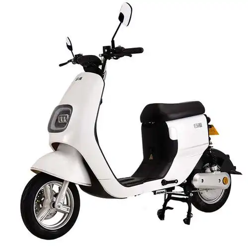 新日电动车rm2 bls-na24/0400/06dgp2(铅酸60v20ah)皓月白【图片 价格