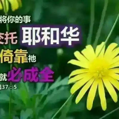 圣诞感恩歌【xsp】