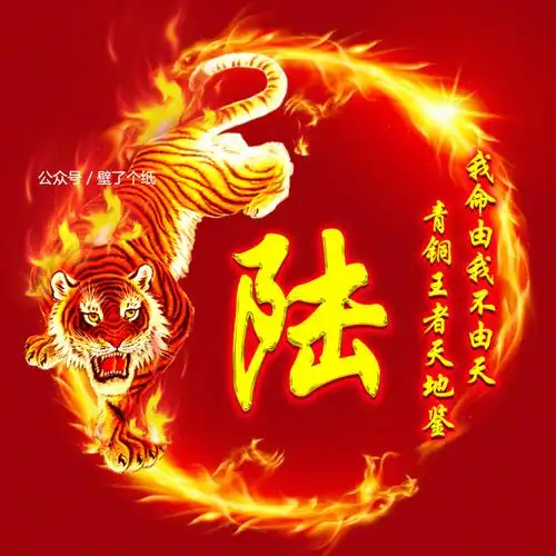 编号3460:微信头像,姓氏头像,火焰龙虎,霸气的狠-微信头像,百家姓氏