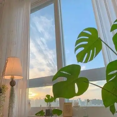 清新ins风景物头像现代简约小文艺可爱点