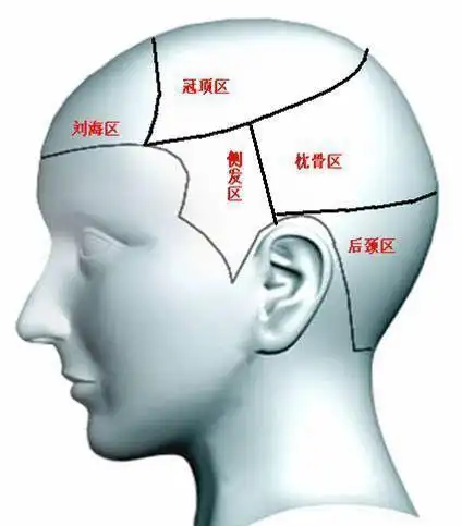 无论是烫发剪发我们都把头发进行分区但是你知道分区的作用吗