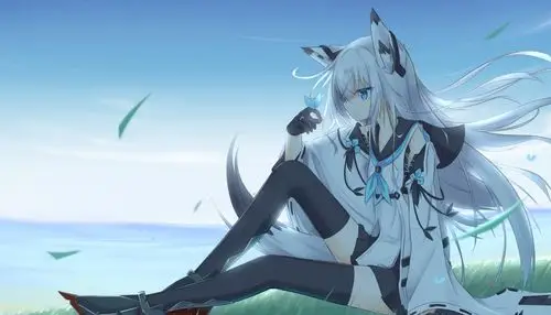 情深缘起黑色羽毛与白色狐狸