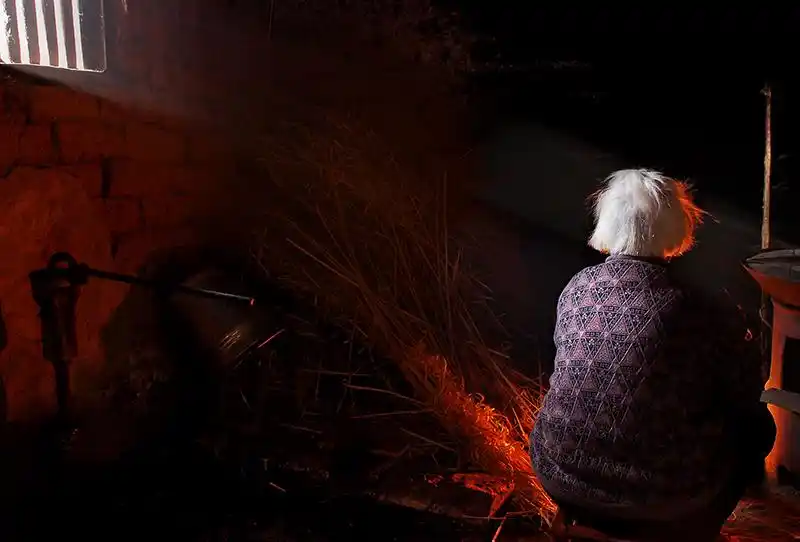 长满腊肉的梧桐树