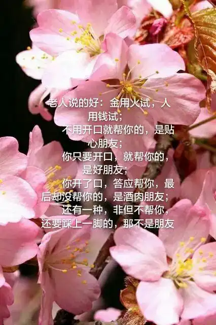 看清,什么才是朋友?