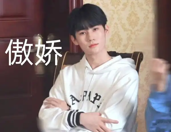 张真源表情包合集