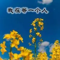 等一个人配图 我在等一个人的配图_微信头像图片大全