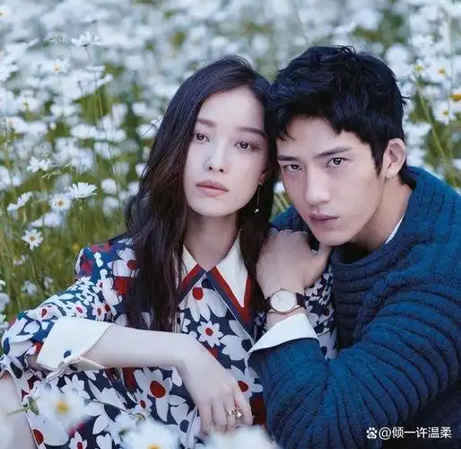 分手6年后,再看井柏然境遇,才发现他和倪妮本就不是一路人