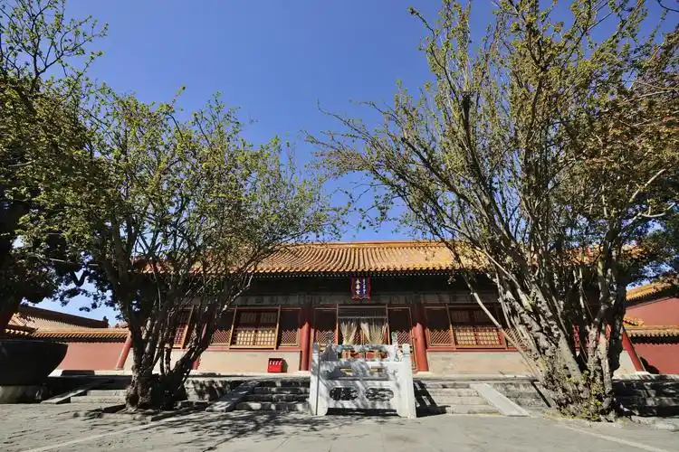 1/ 12 永寿宫,作为西六宫之一,曾住着乾隆皇帝的生母钮祜禄氏.