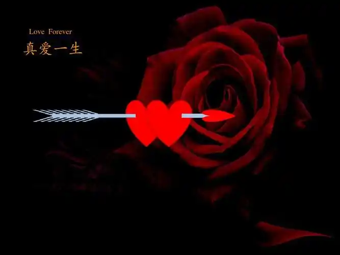 love forever 真爱一生