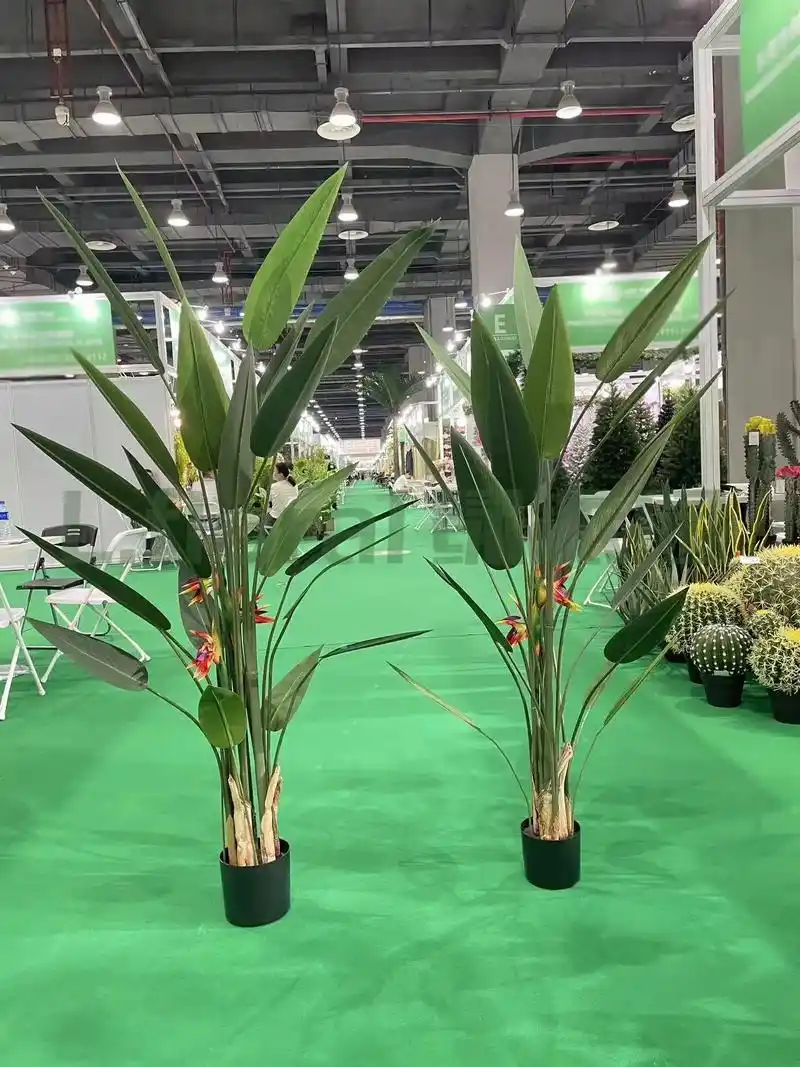 假鹤望兰绿植造景绿植组合办公室旅人蕉小景观假植物大绿叶植物一