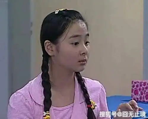 由宋丹丹,高亚麟,杨紫,张一山,尤浩然等主演的情景剧《家有儿女》