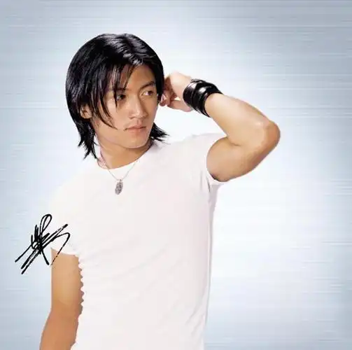 谢霆锋早期造型