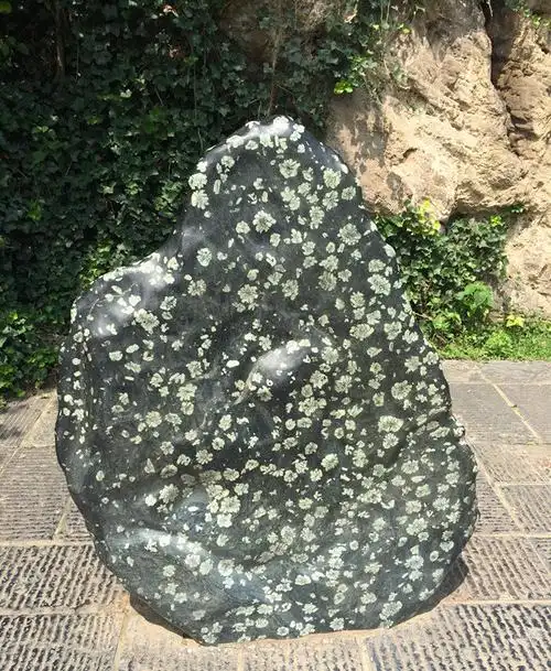 洛阳牡丹石,又名牡丹玉.