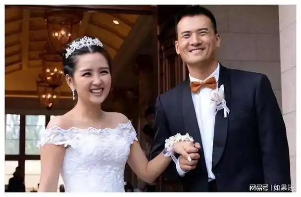 超女何洁终究为自己的一言一行付出了代价