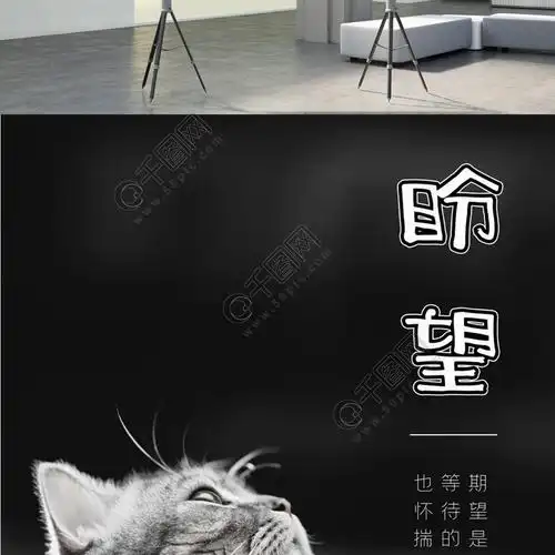 盼望期盼期望希望等待猫咪黑白怀旧海报